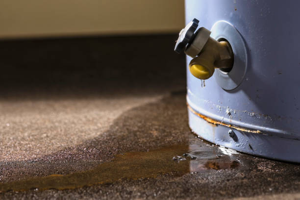 Water damage restoration experts in Apache Junction, AZ