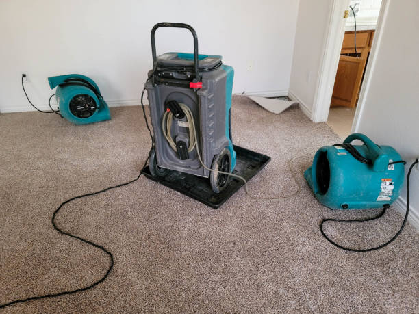 Best Basement water damage restoration  in Apache Junction, AZ
