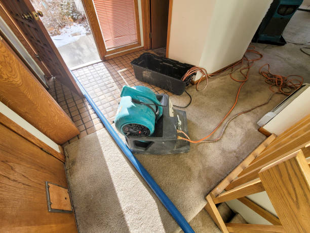 Best Water damage restoration near me  in Apache Junction, AZ