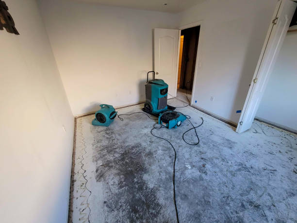 Professional Water damage restoration in Apache Junction, AZ