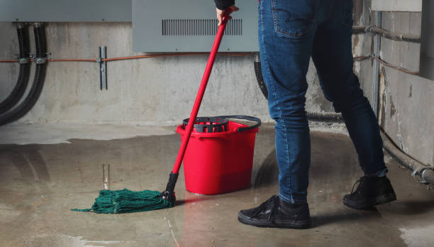 Best Commercial water damage restoration  in Apache Junction, AZ
