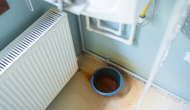 Best Ceiling water damage repair  in Apache Junction, AZ