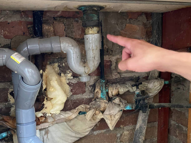 Best Residential water damage restoration  in Apache Junction, AZ