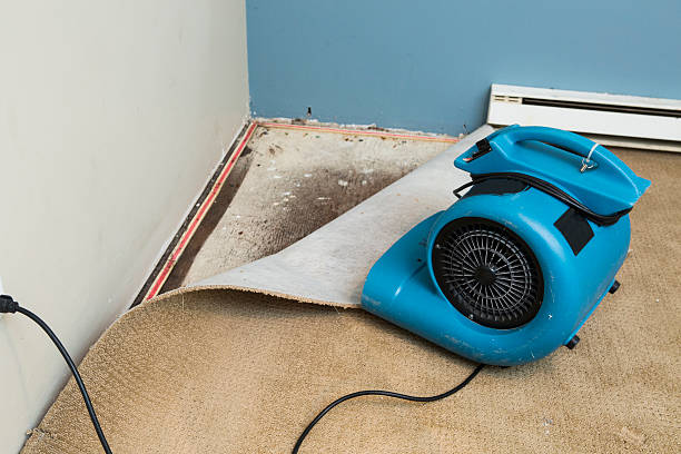 Best Water damage contractors near me  in Apache Junction, AZ